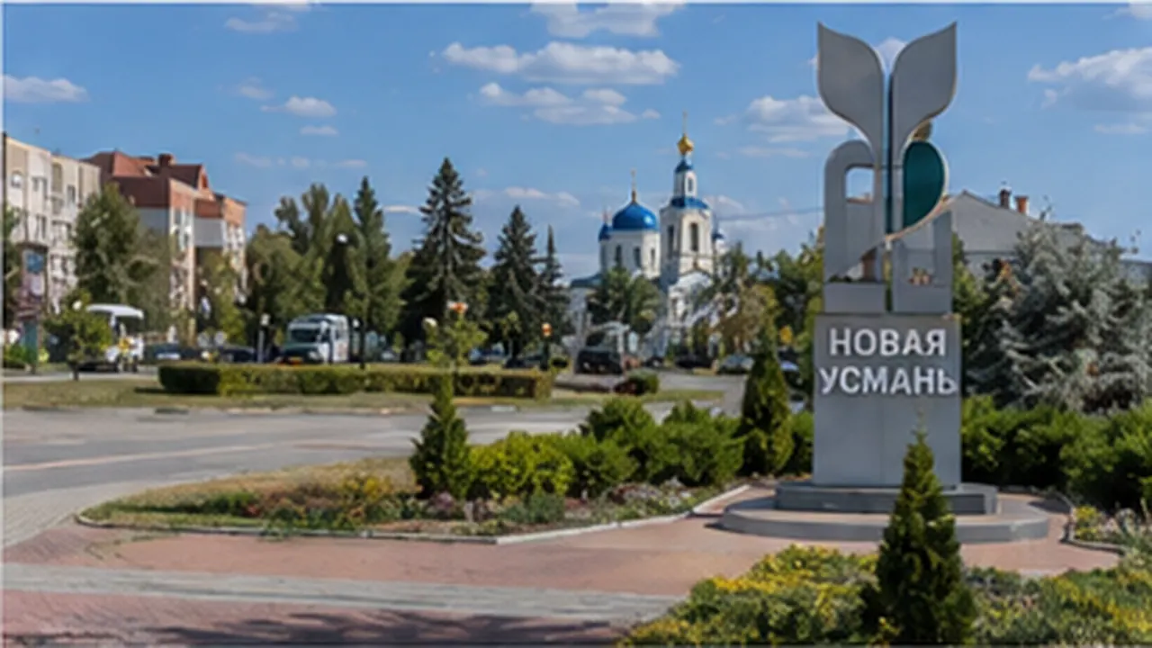 Новая Усмань